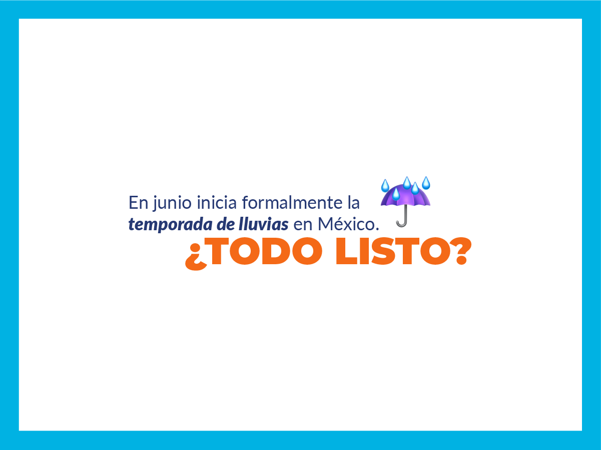 Protección para mamá