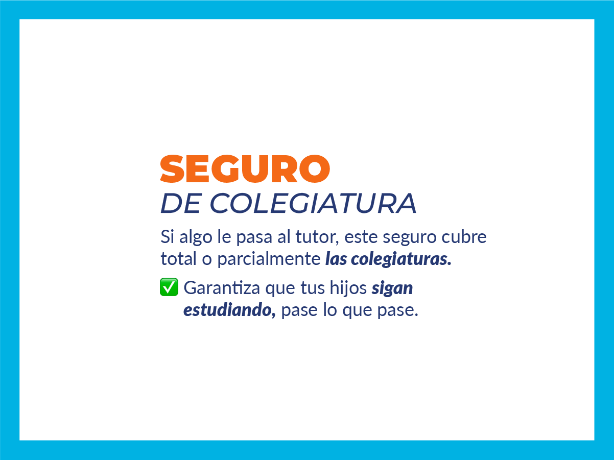 Viajar seguro